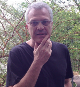 Big Brother Brasil 2015. Pedro Bial