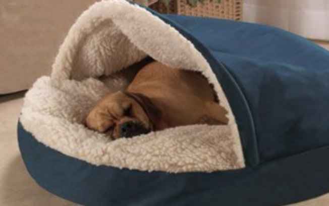 camas para cachorros perros cama para cachorro como escolher camas para cachorros perros cama para cachorro como escolher